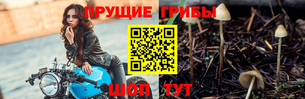 Псилоцибиновые грибы Magic Shrooms Моршанск